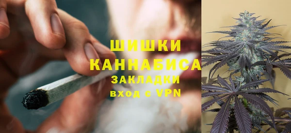 первитин Осинники